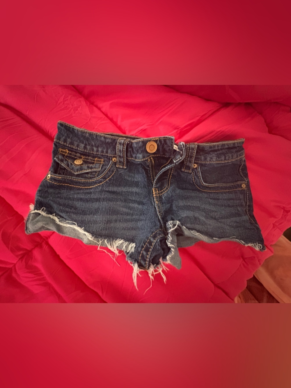 Celebrity Pink Medium Blue Denim Shorts with Pink Liner